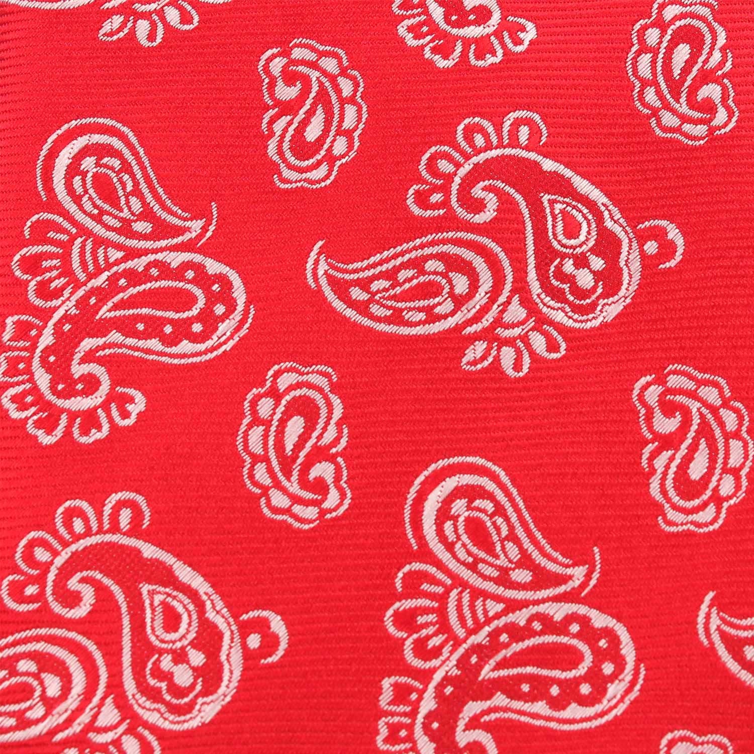 Paisley Red Skinny Tie