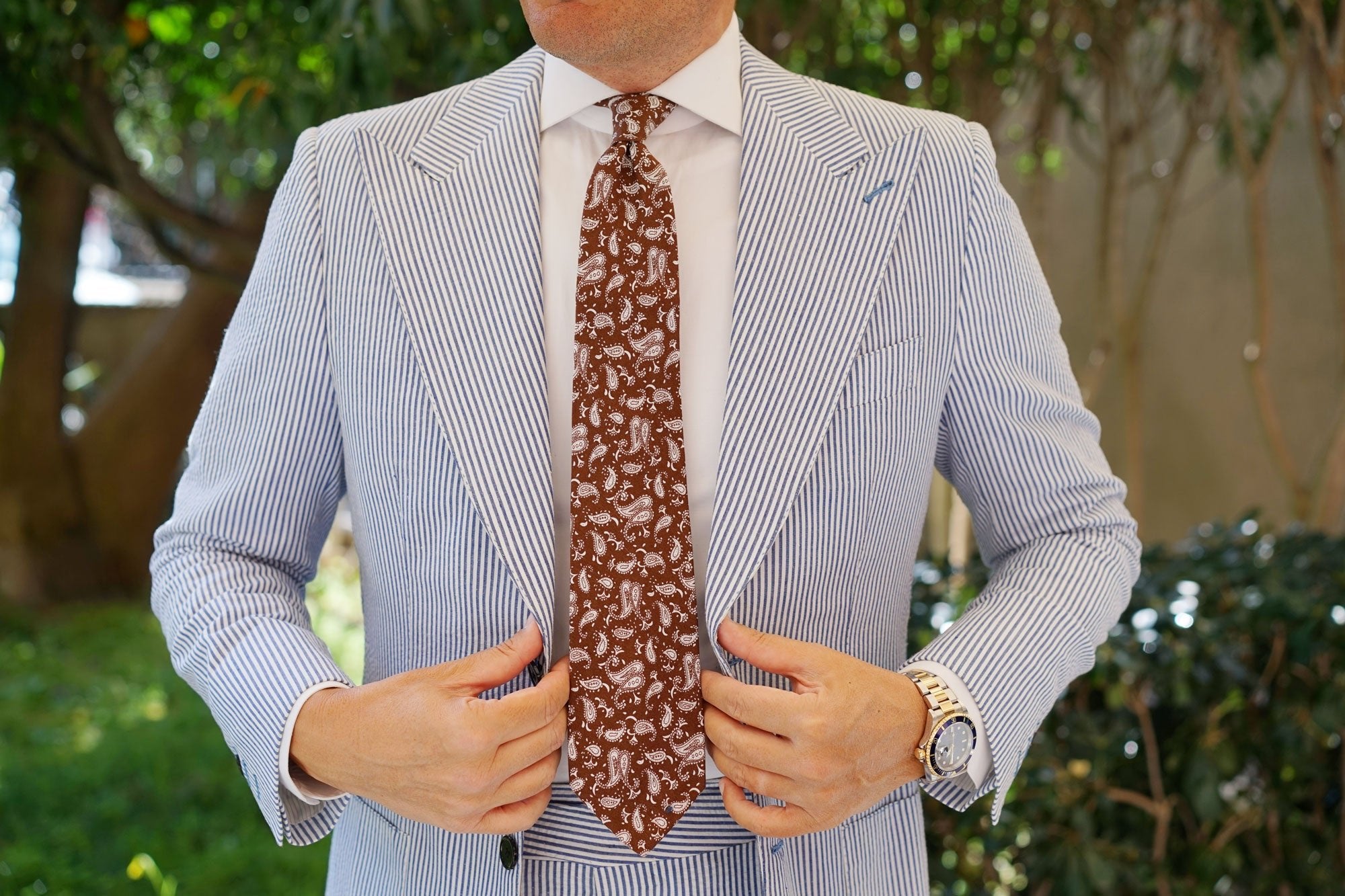 Florence Paisley Brown Tie