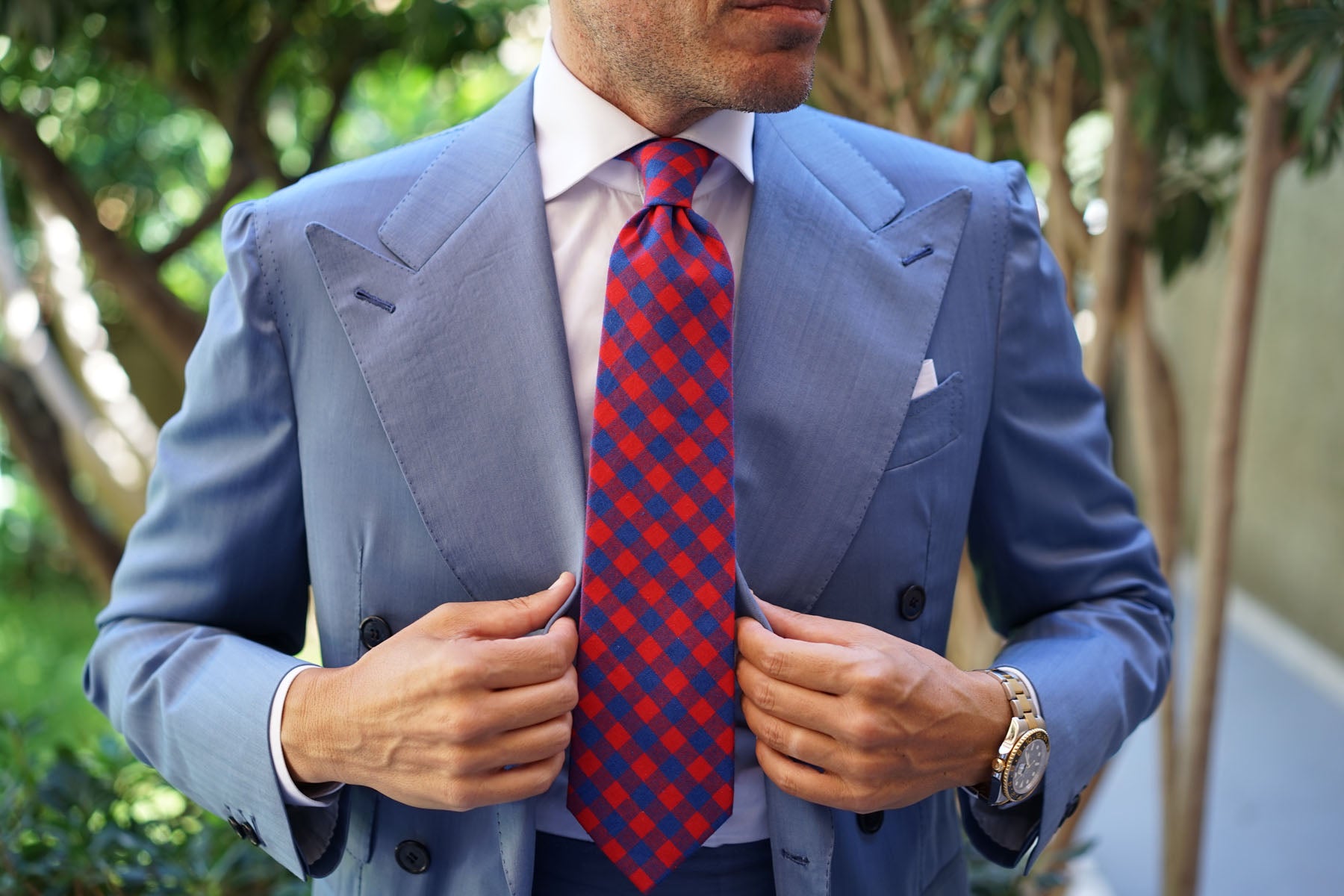 Blue & Red Gingham Tie