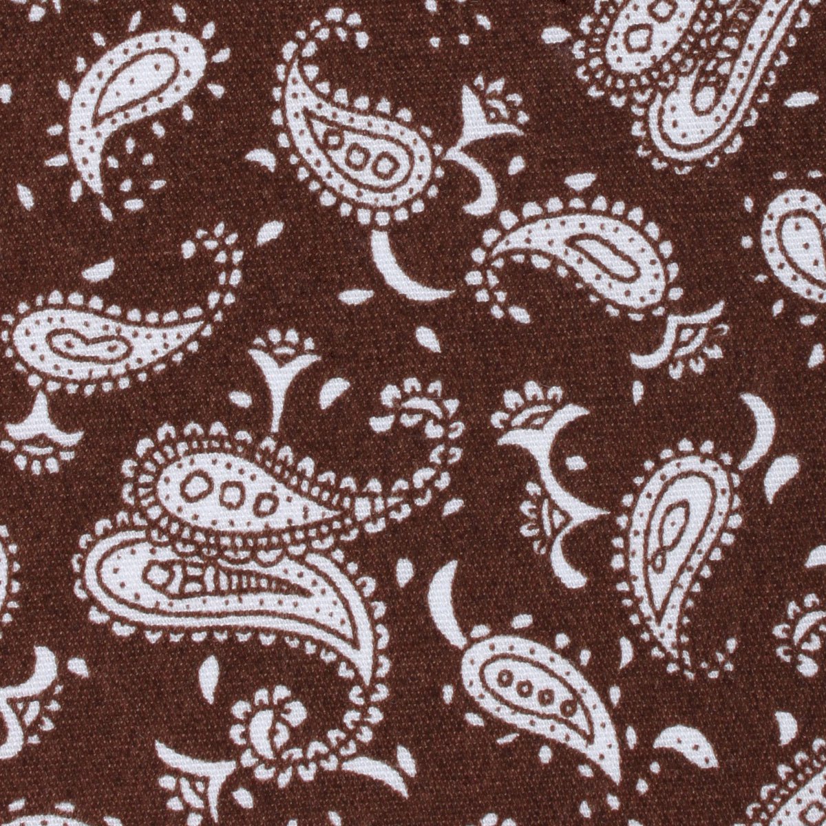 Florence Paisley Brown Tie