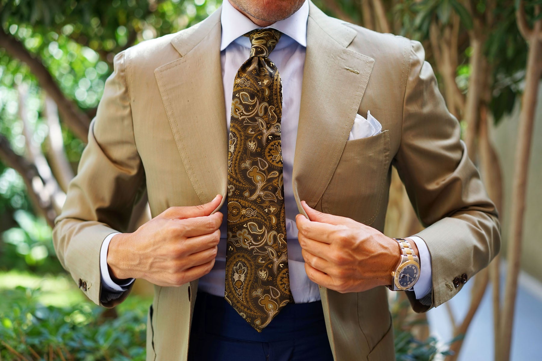 Persian Paisley Brown Tie