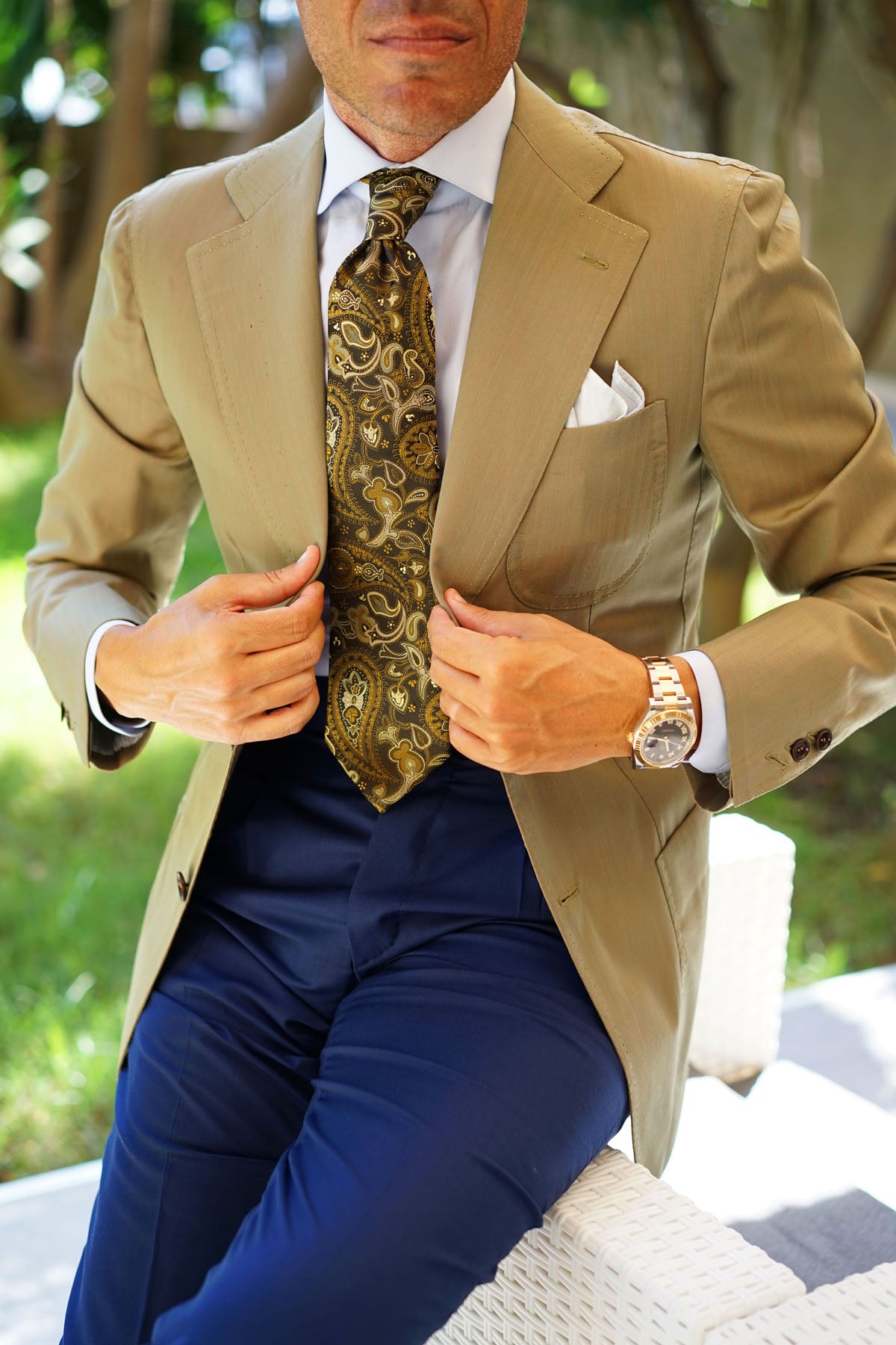 Persian Paisley Brown Tie