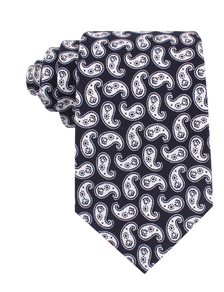 Van Gogh Teardrop Paisley Tie