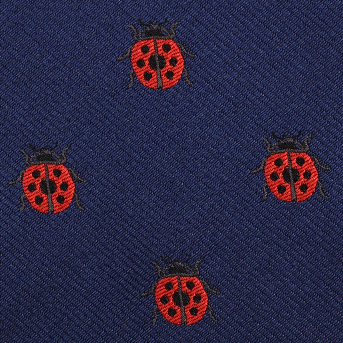 Ladybird Beetle Kids Diamond Bow Tie