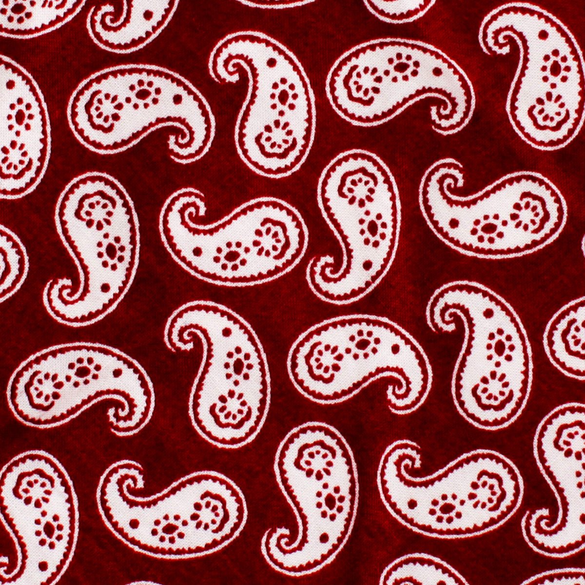 Danielre Red Paisley Necktie