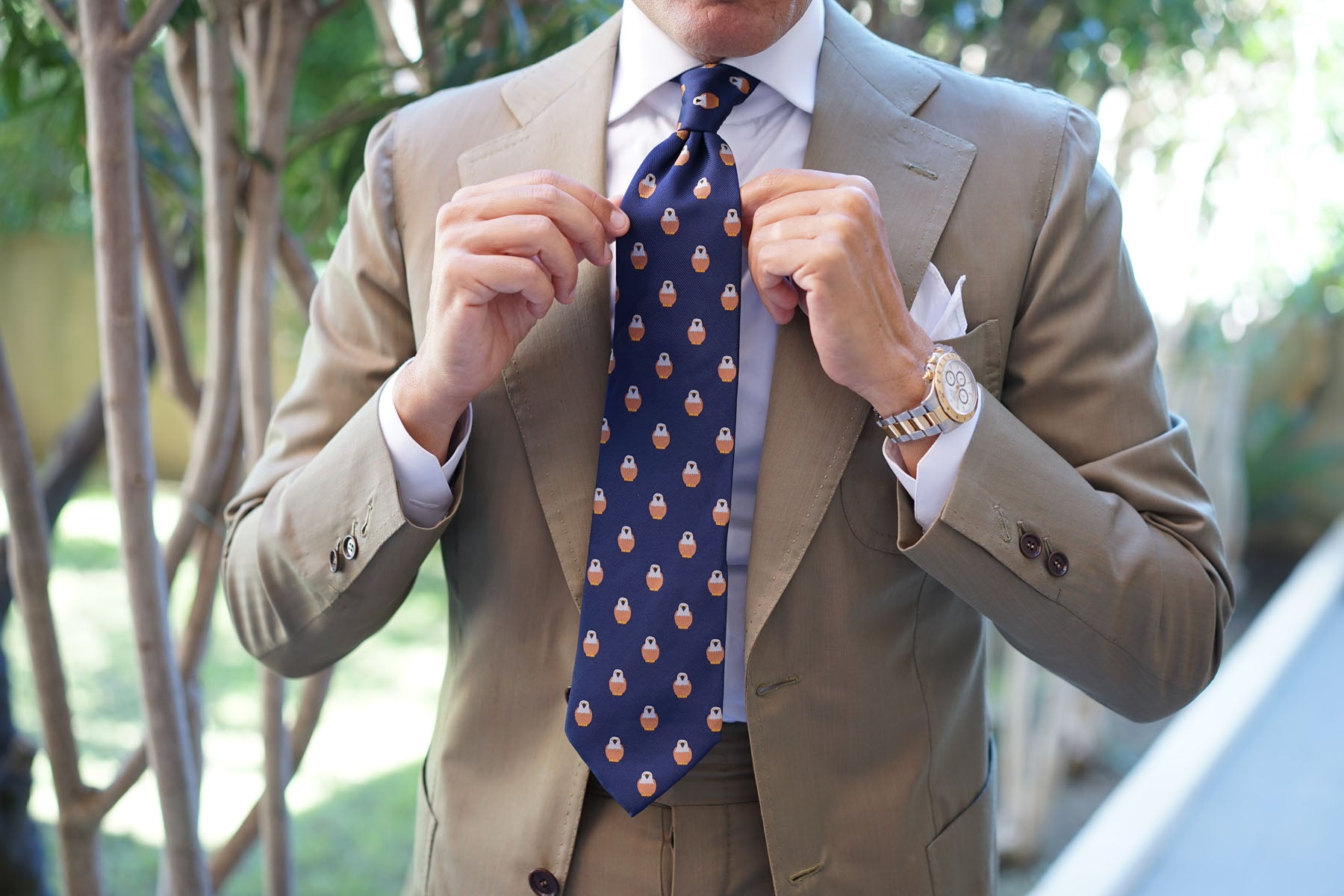 Brown Pigeon Bird Tie