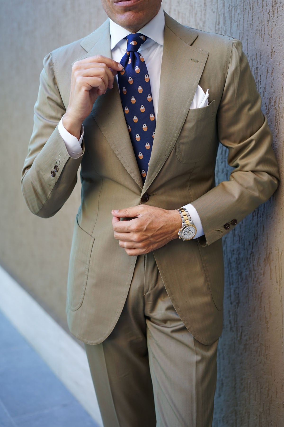 Brown Pigeon Bird Tie