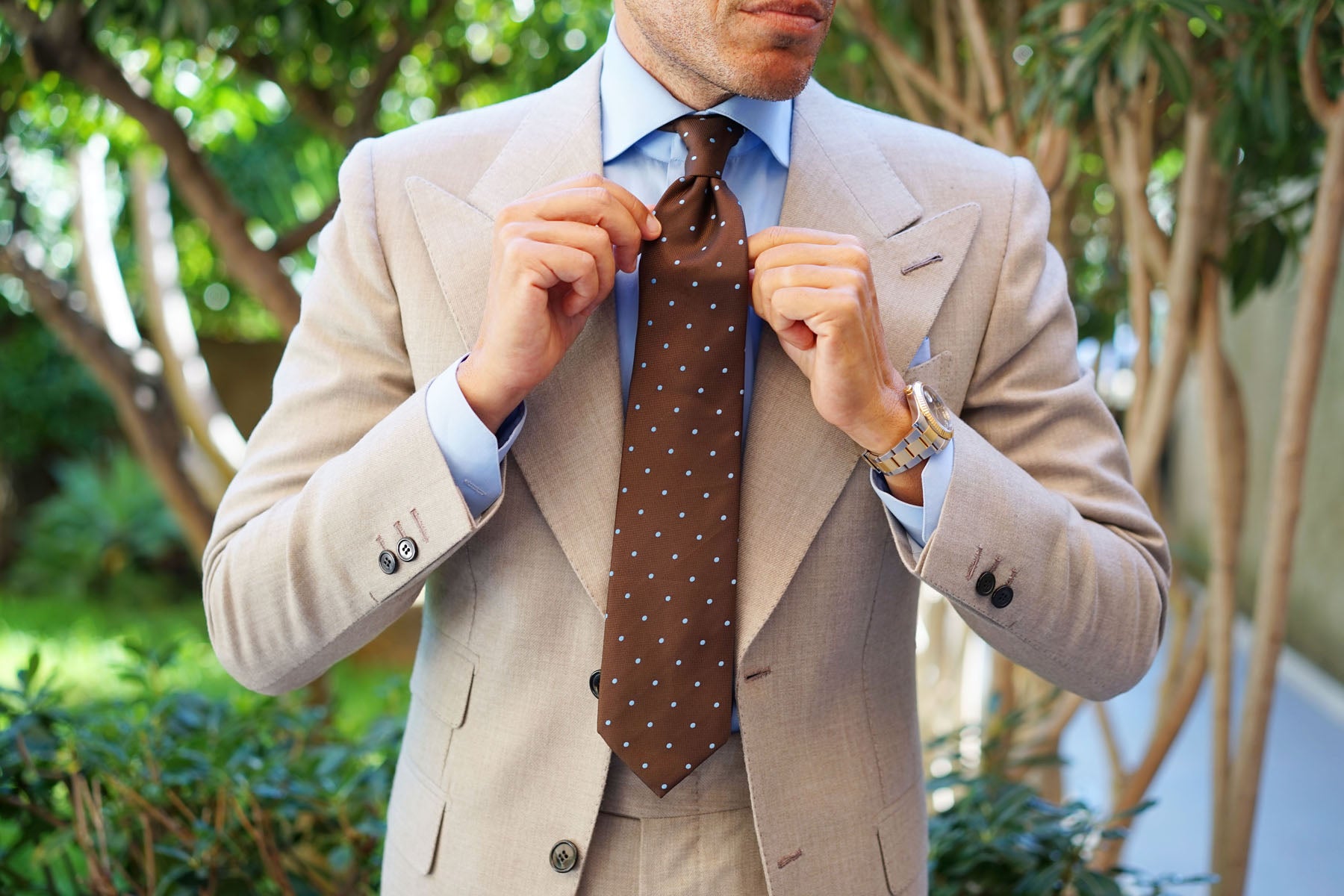 Brown on Blue Polkadot Tie