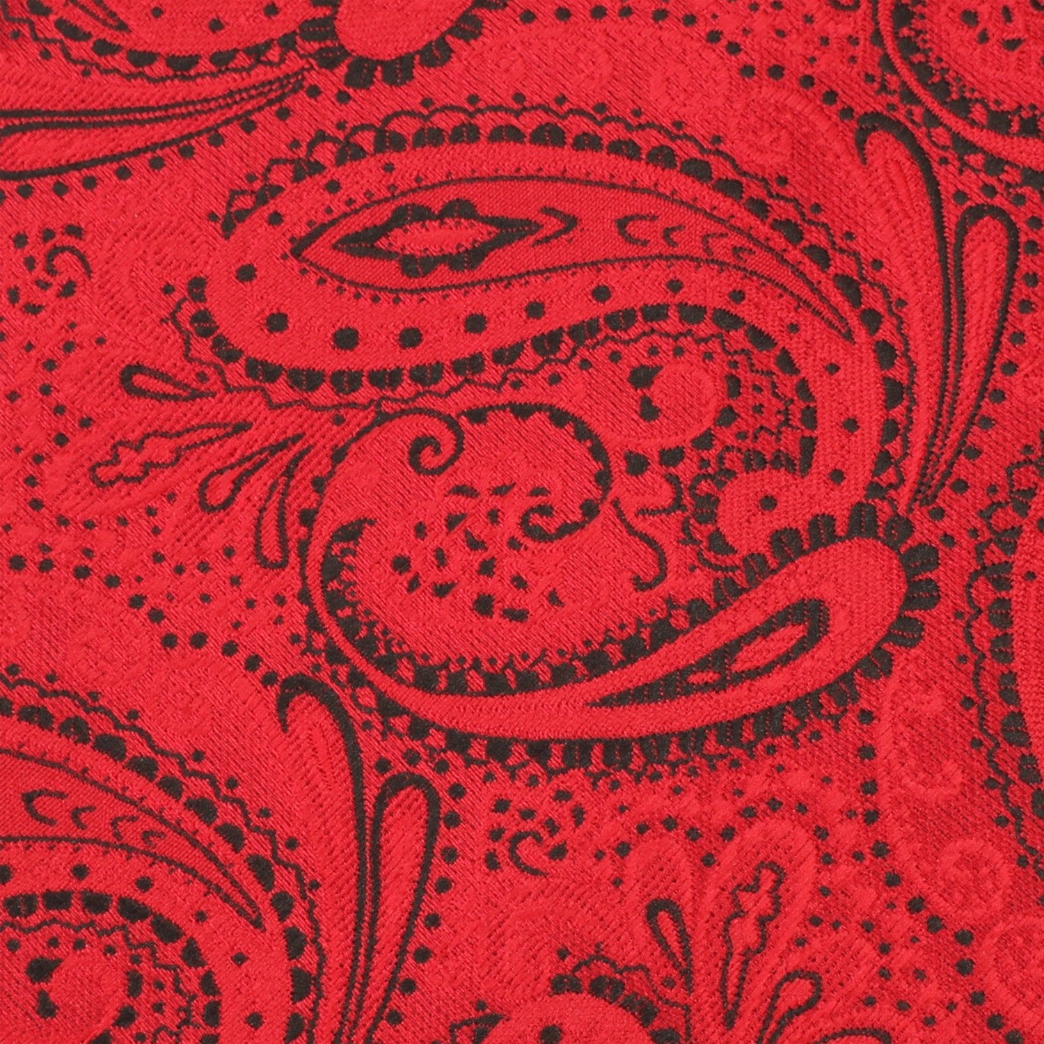 Paisley Red Maroon with Black Tie