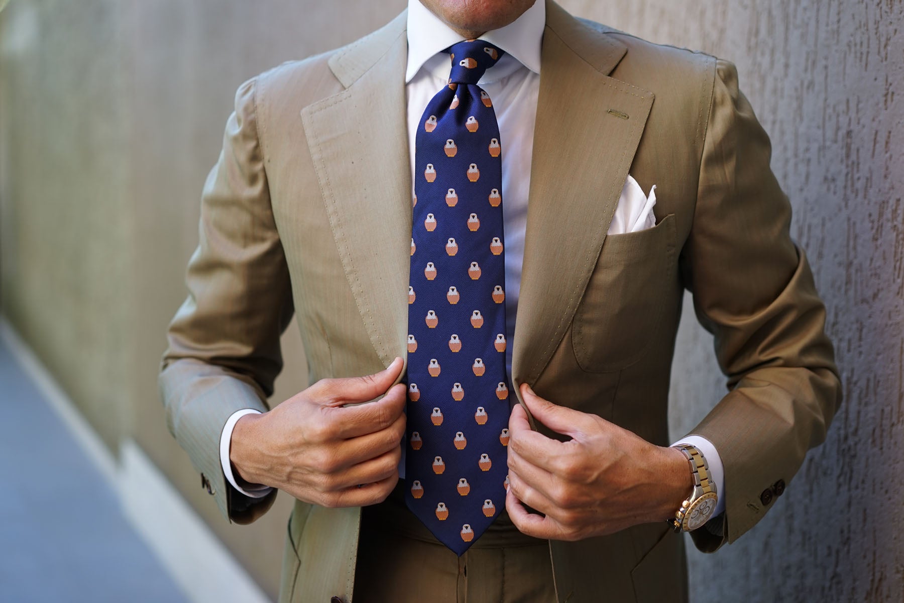 Brown Pigeon Bird Tie