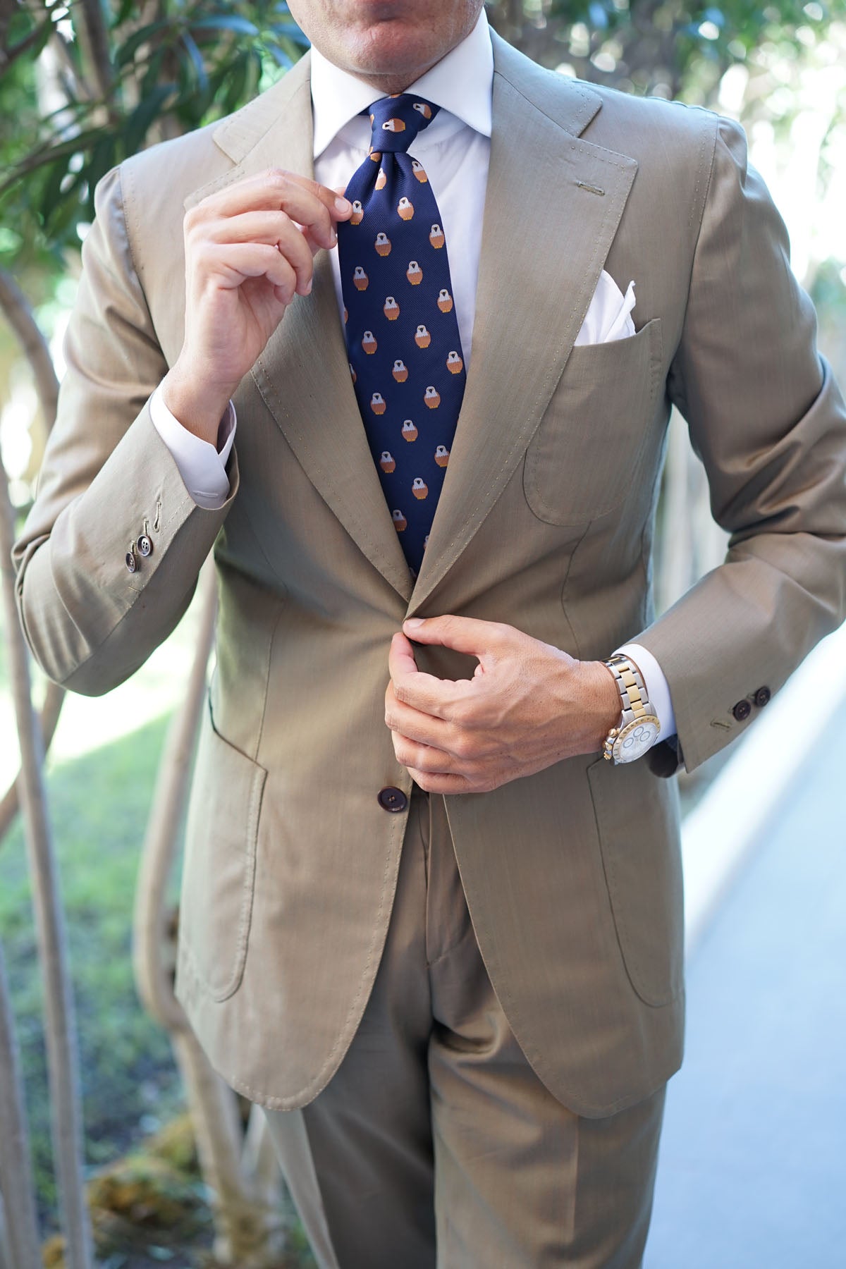 Brown Pigeon Bird Tie