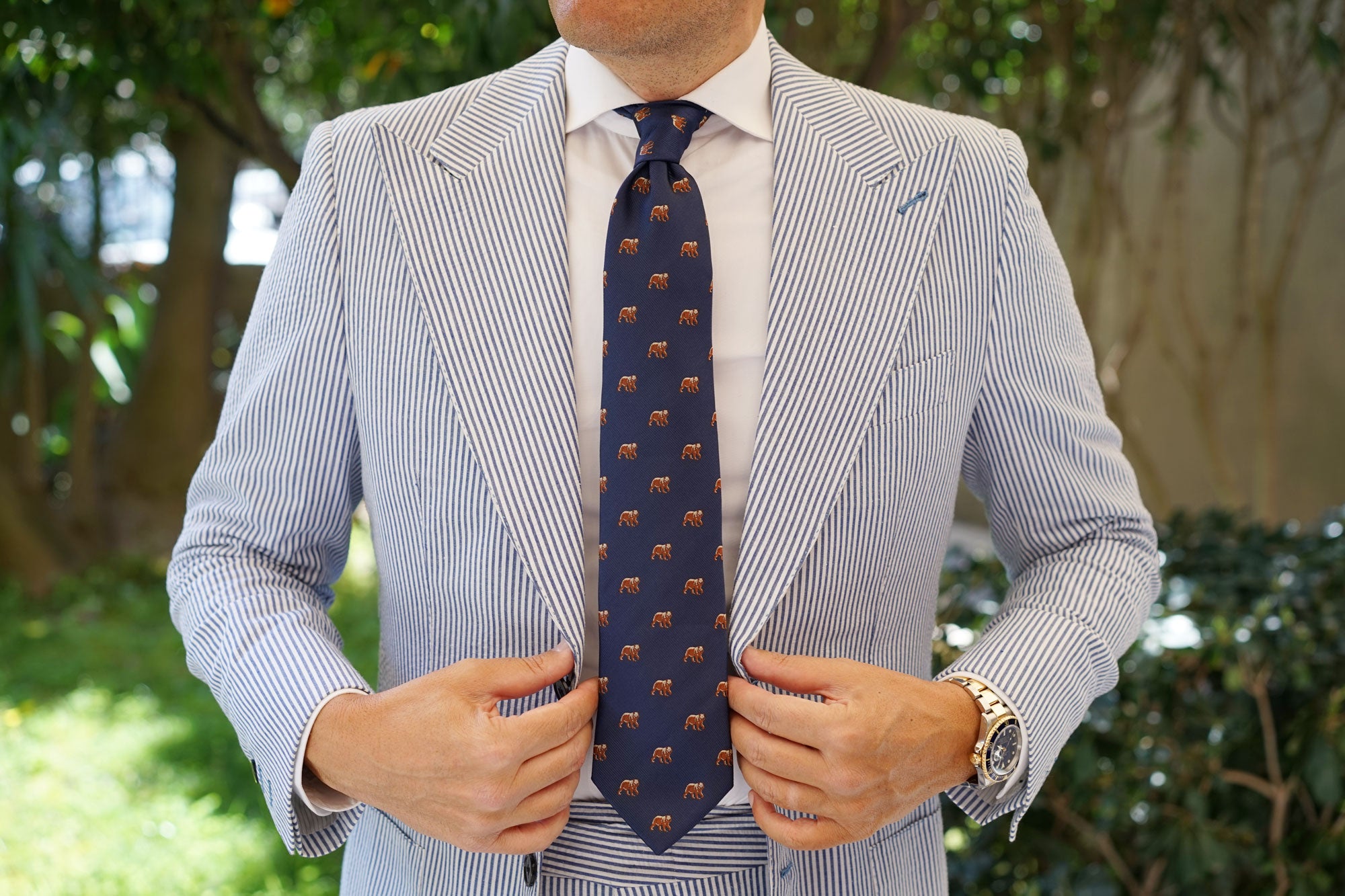 Grizzly Bear Tie