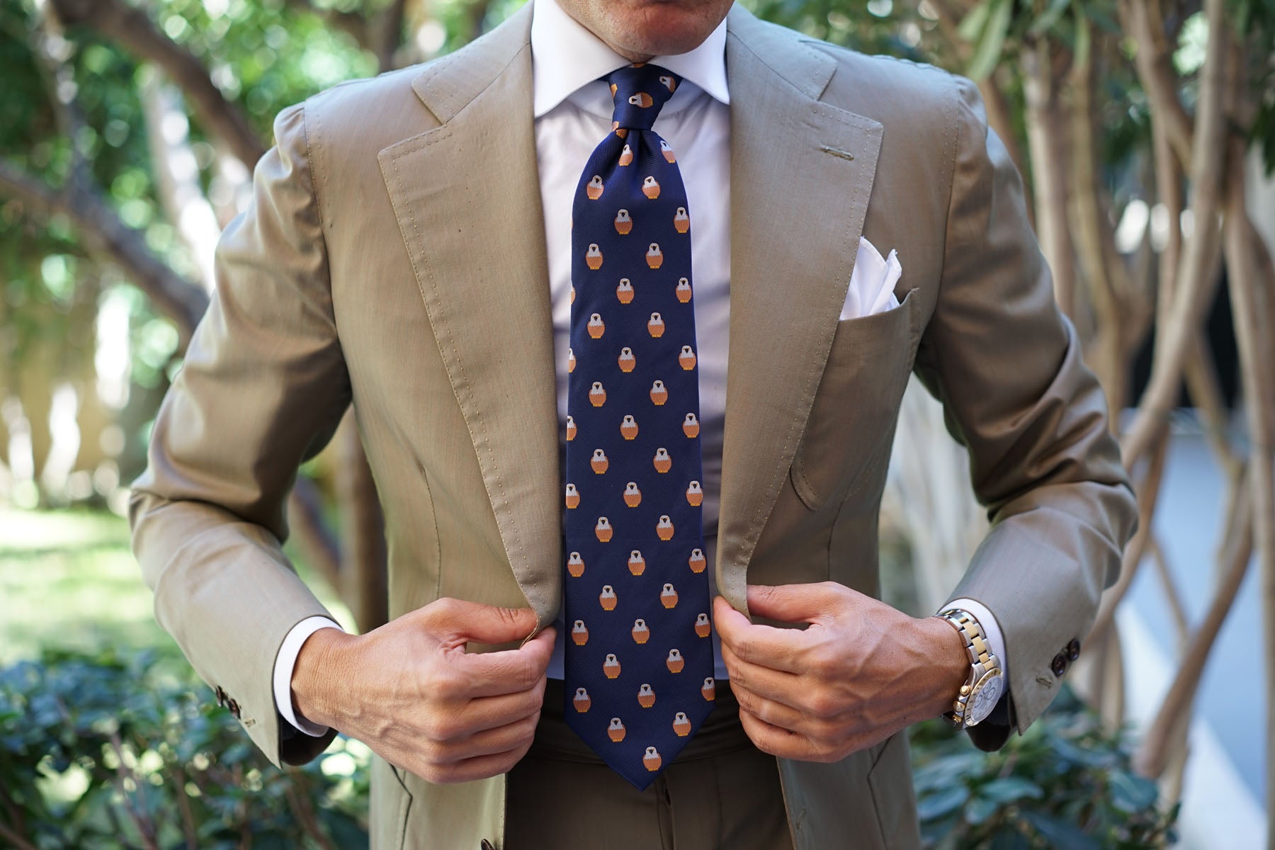 Brown Pigeon Bird Tie