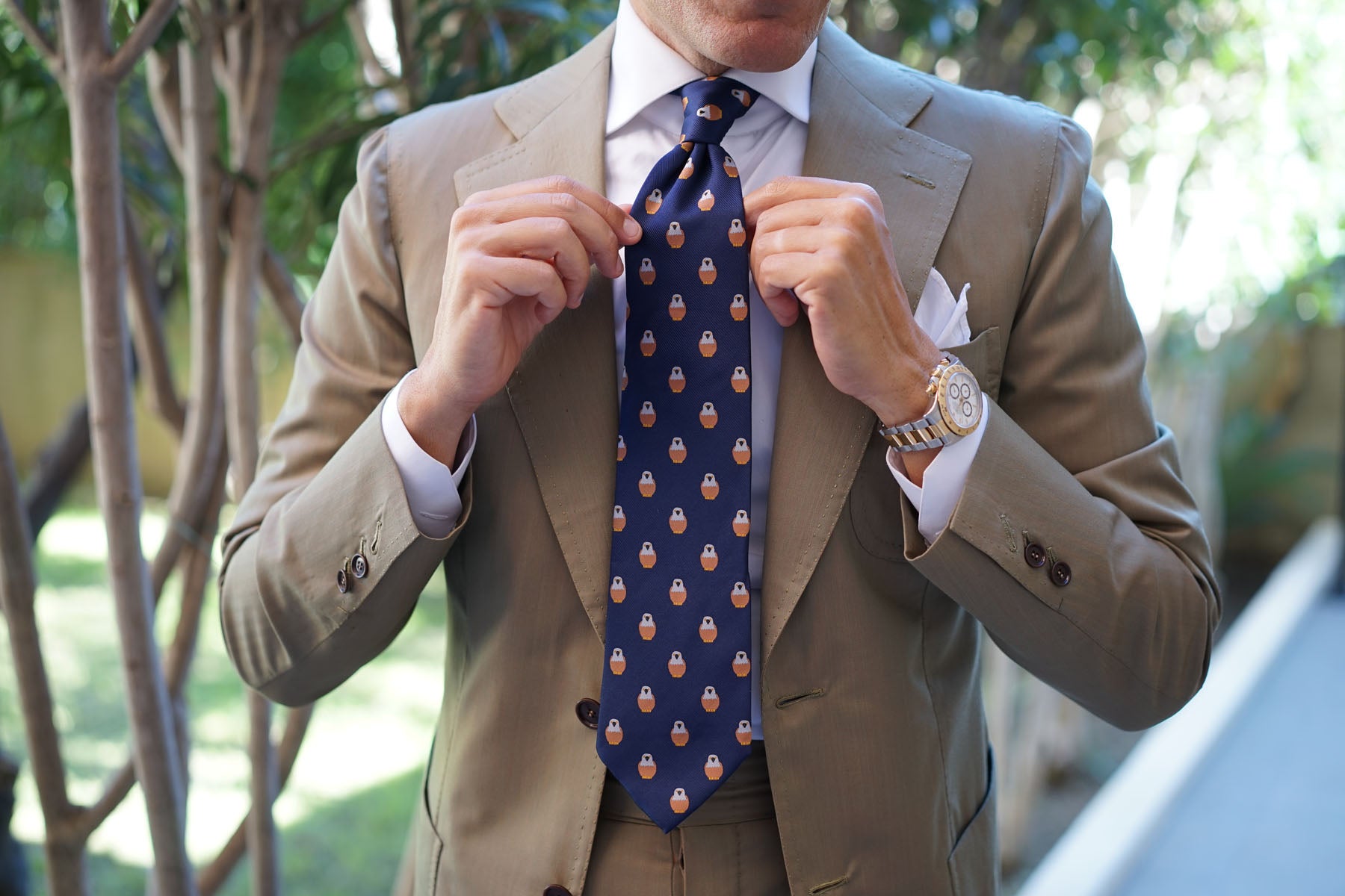 Brown Pigeon Bird Tie