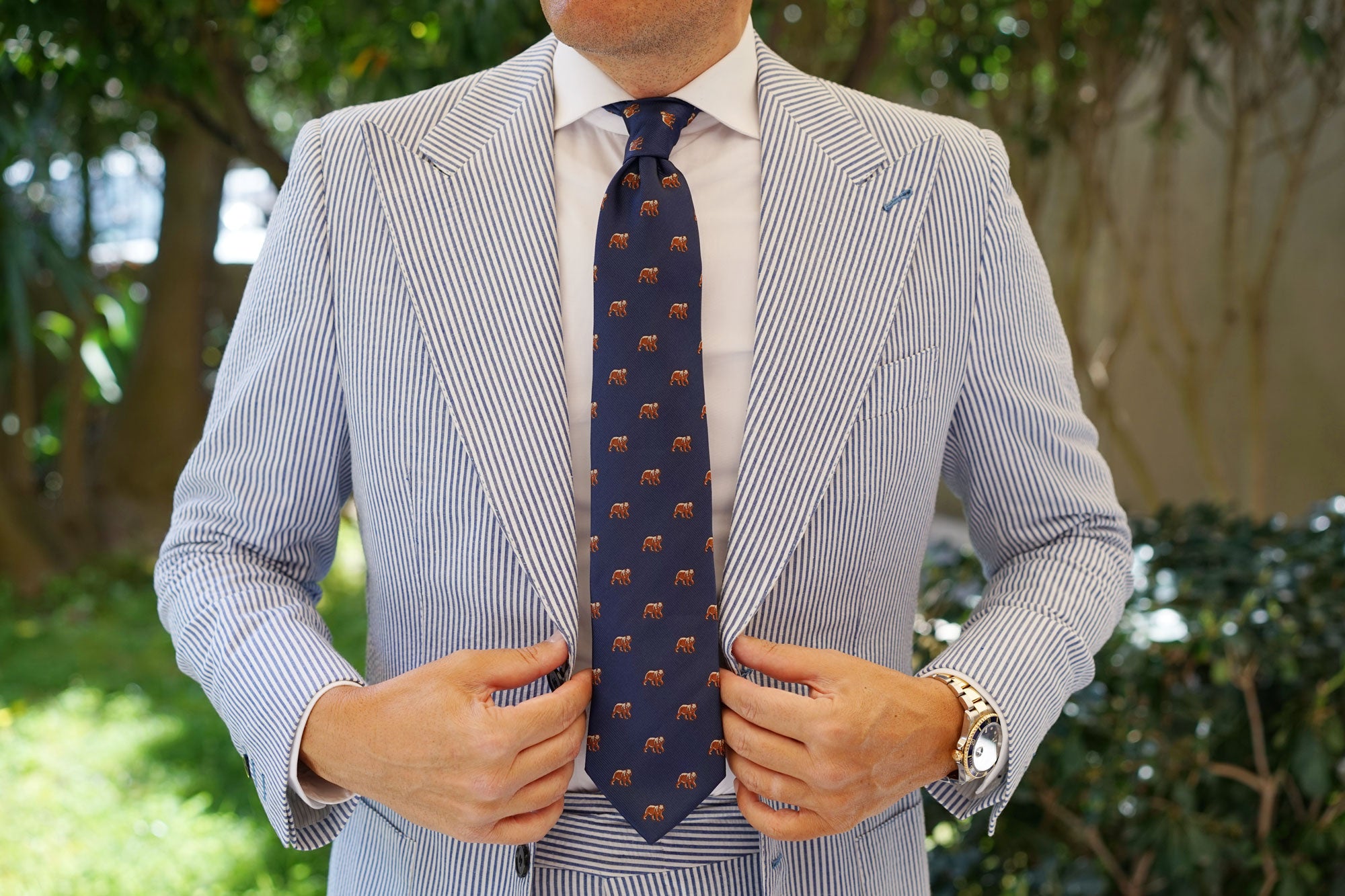 Grizzly Bear Tie