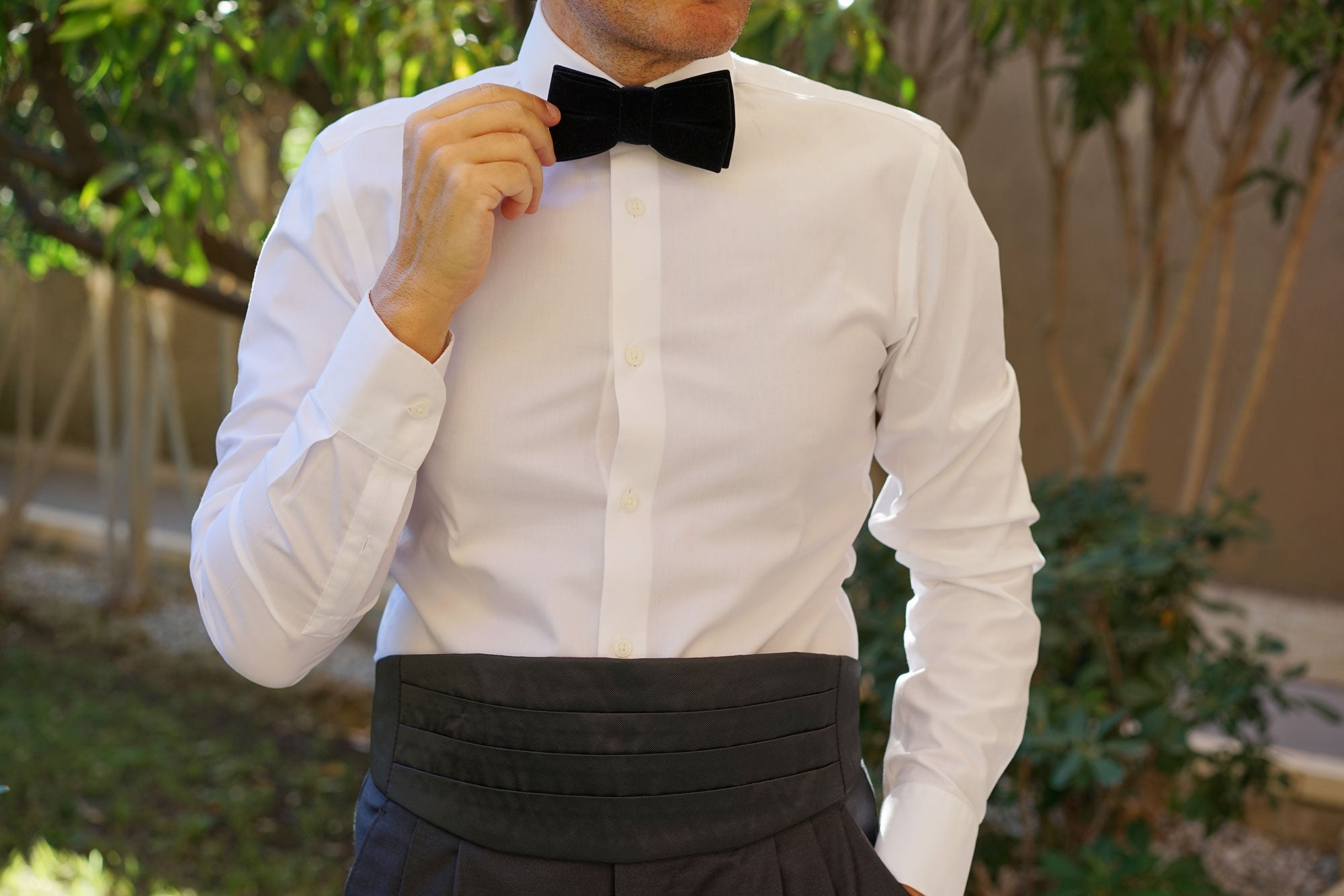 Black Cummerbund