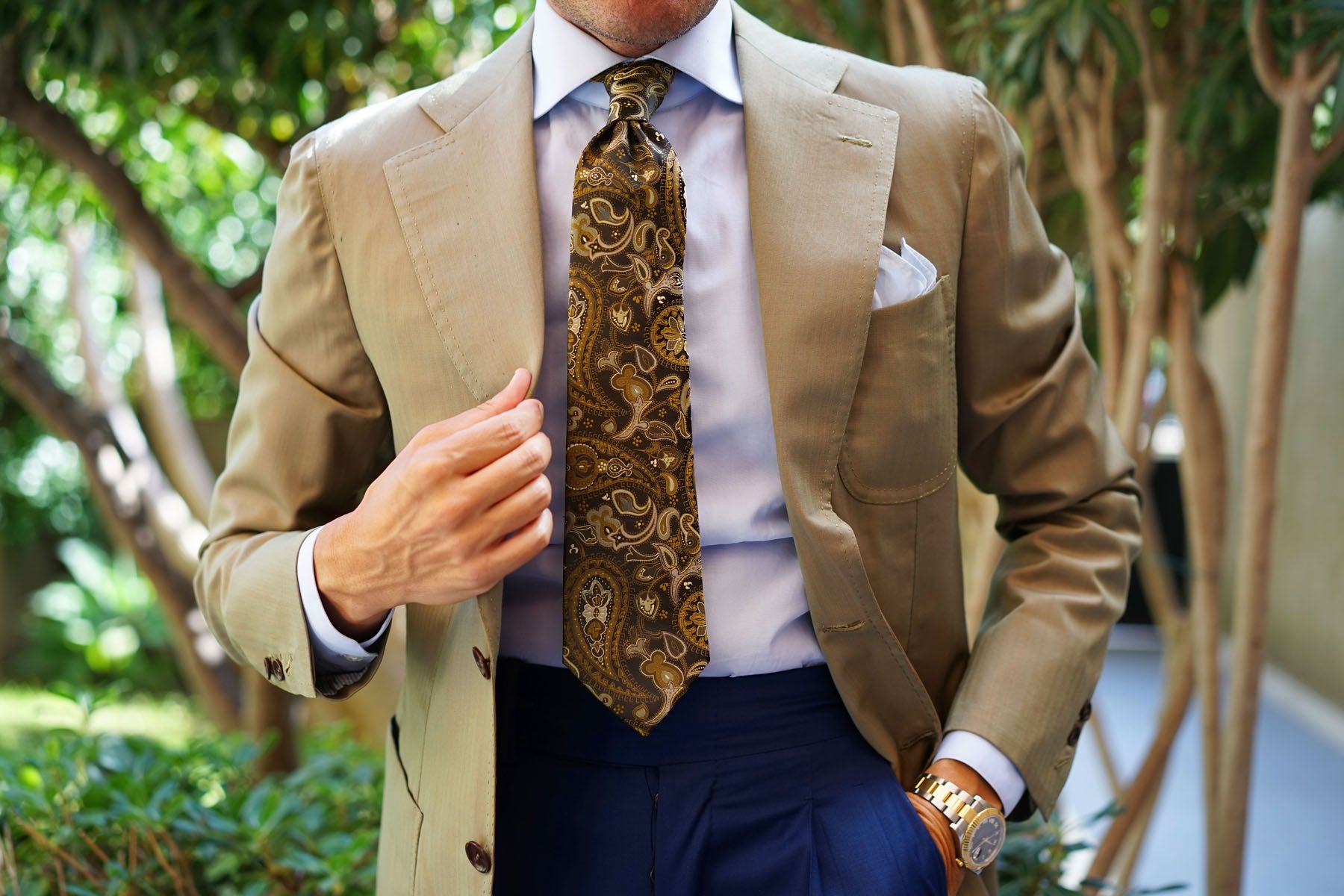 Persian Paisley Brown Tie