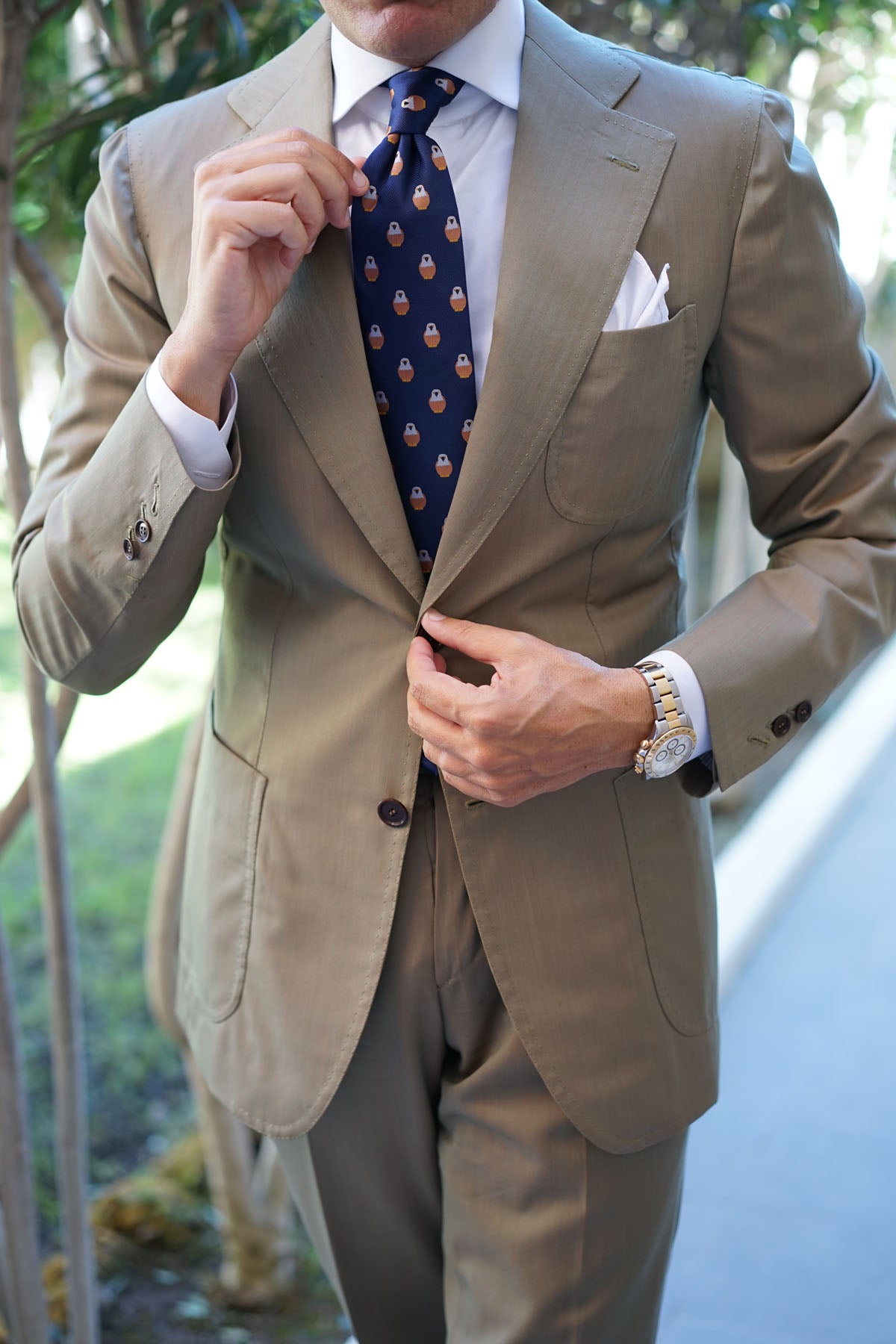 Brown Pigeon Bird Tie