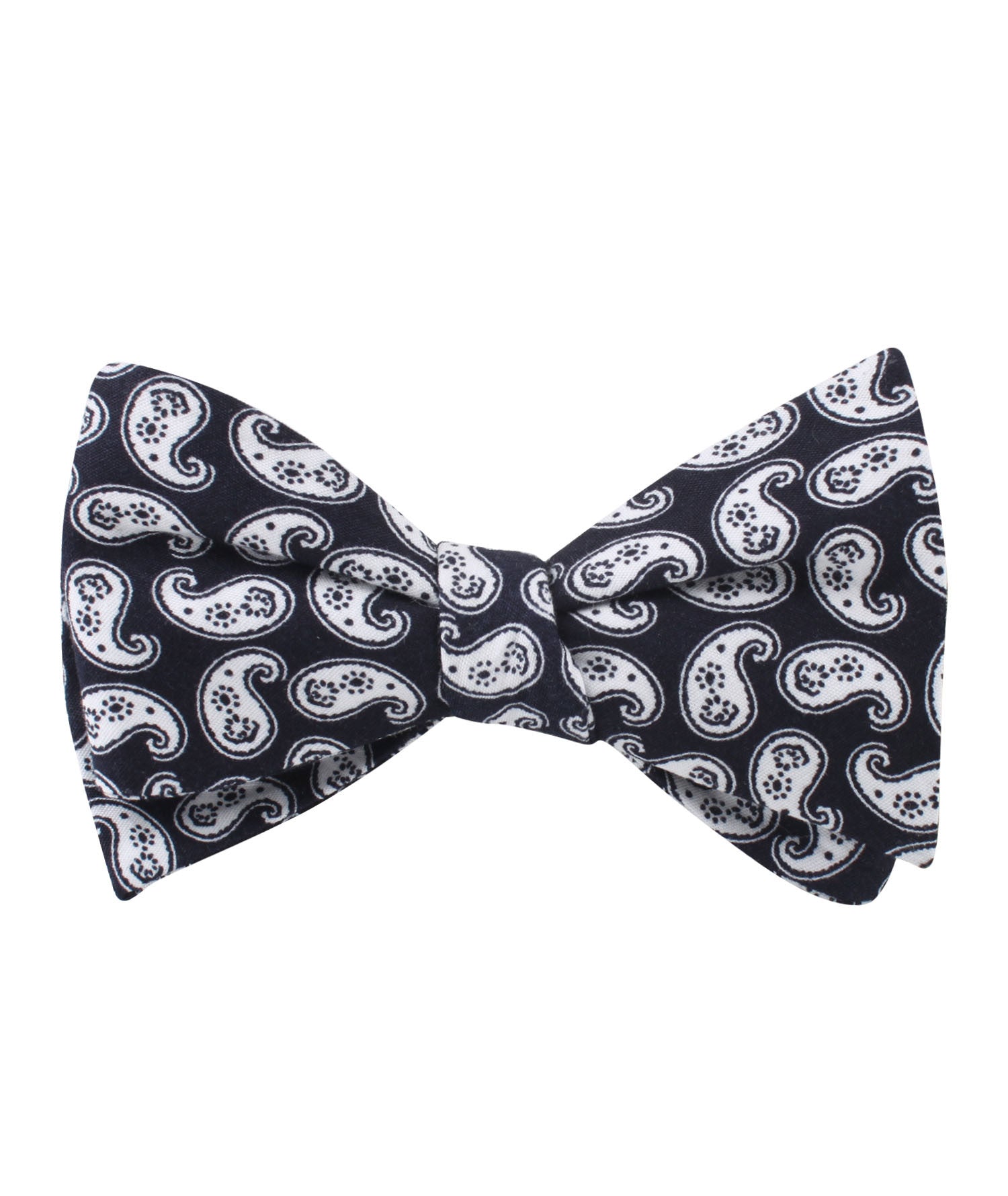 Van Gogh Teardrop Paisley Self Bow Tie