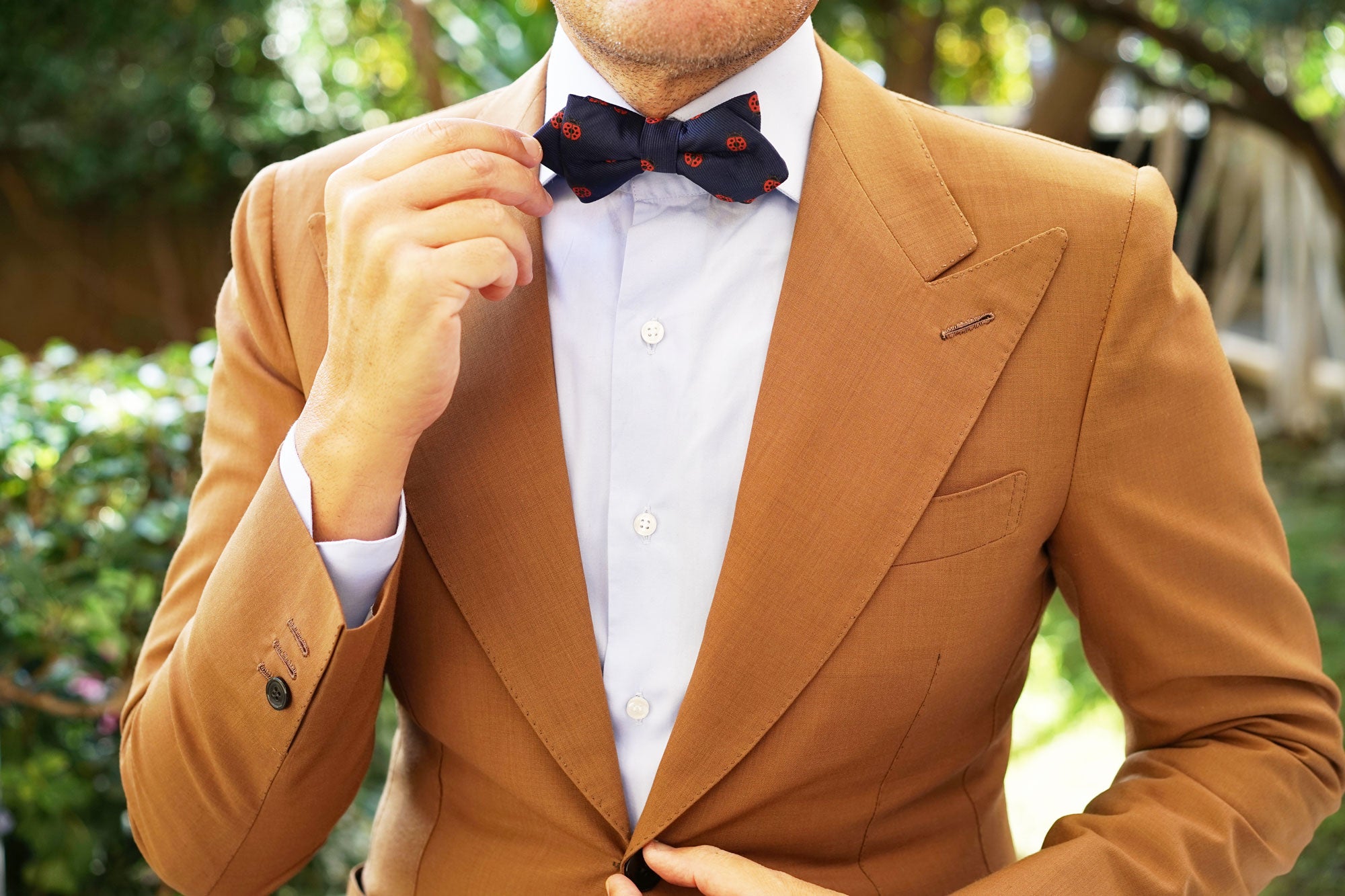 Ladybird Beetle Diamond Bow Tie