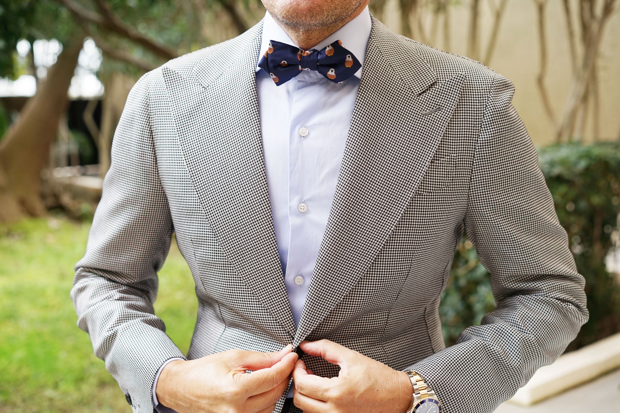 Brown Pigeon Bird Diamond Bow Tie