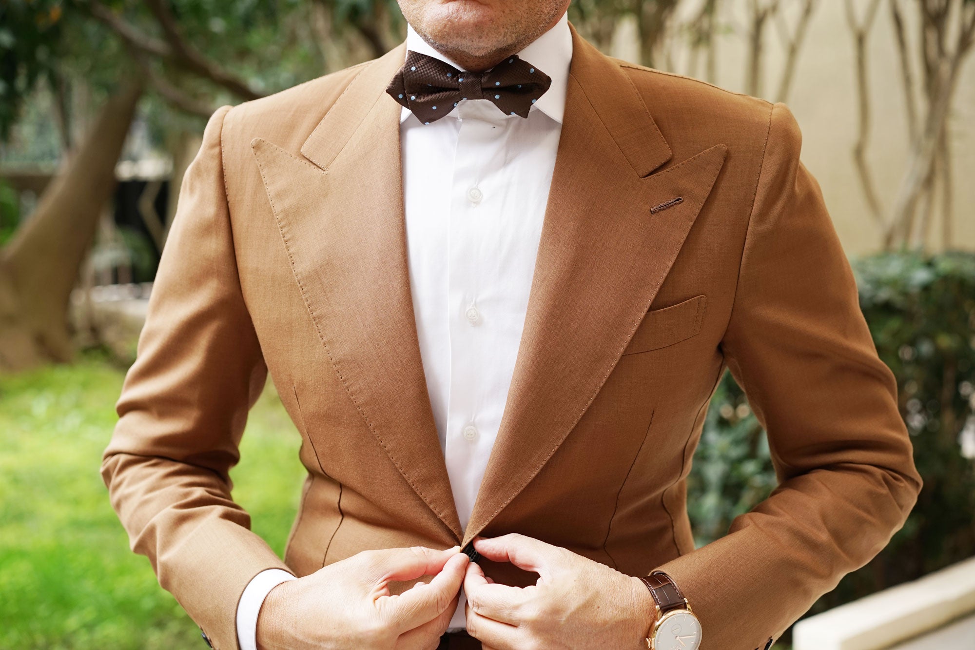 Brown on Blue Polkadot Diamond Bow Tie