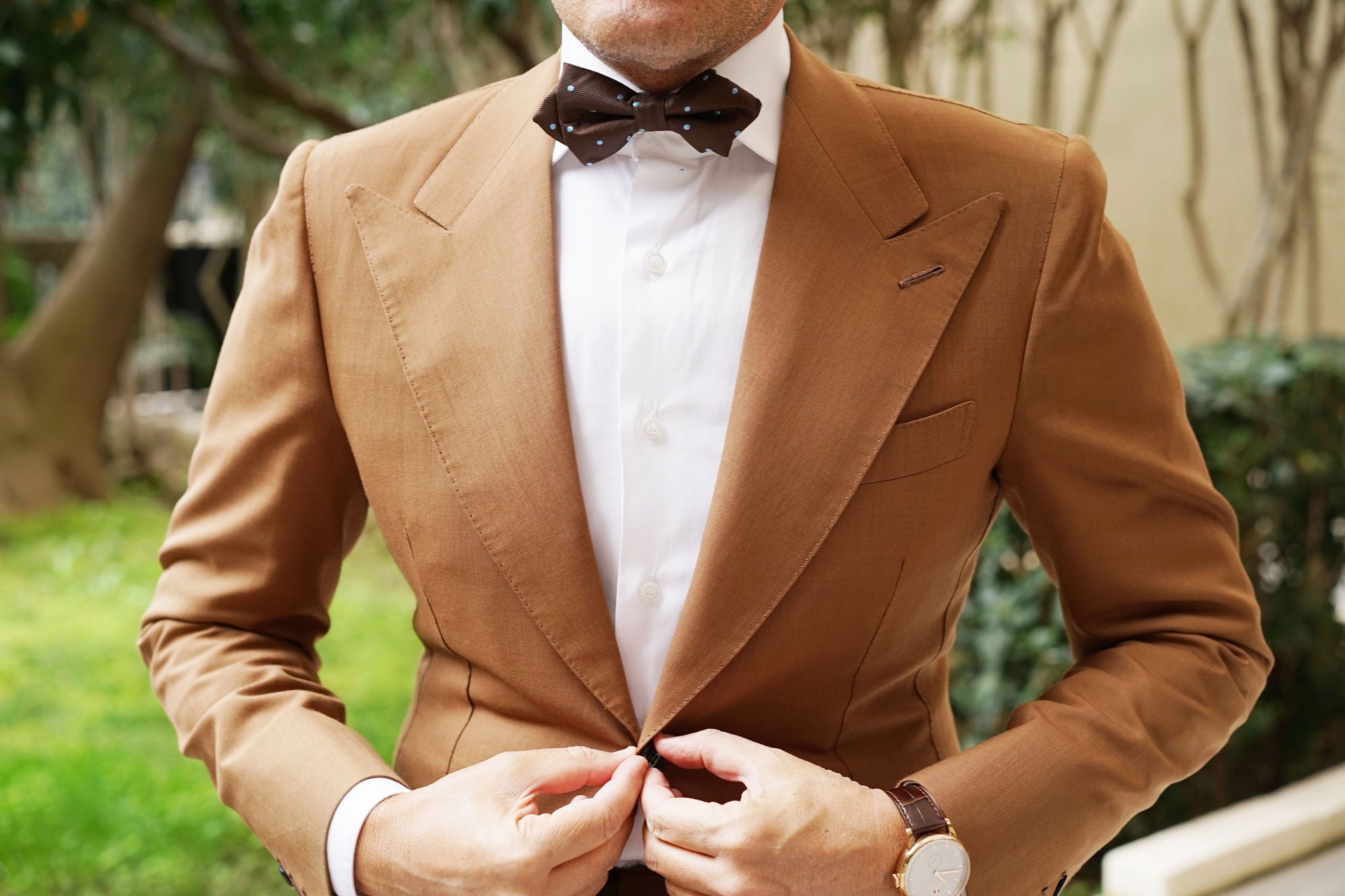 Brown on Blue Polkadot Diamond Bow Tie