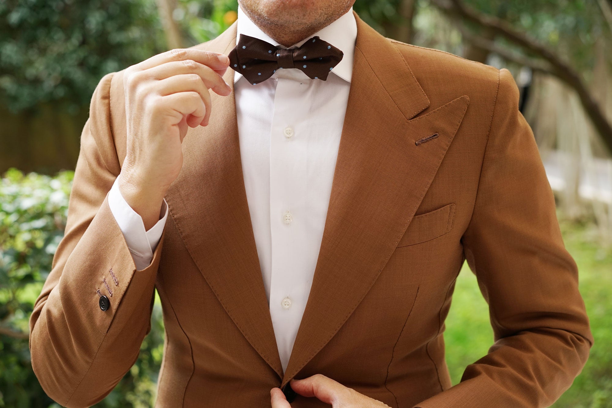 Brown on Blue Polkadot Diamond Bow Tie