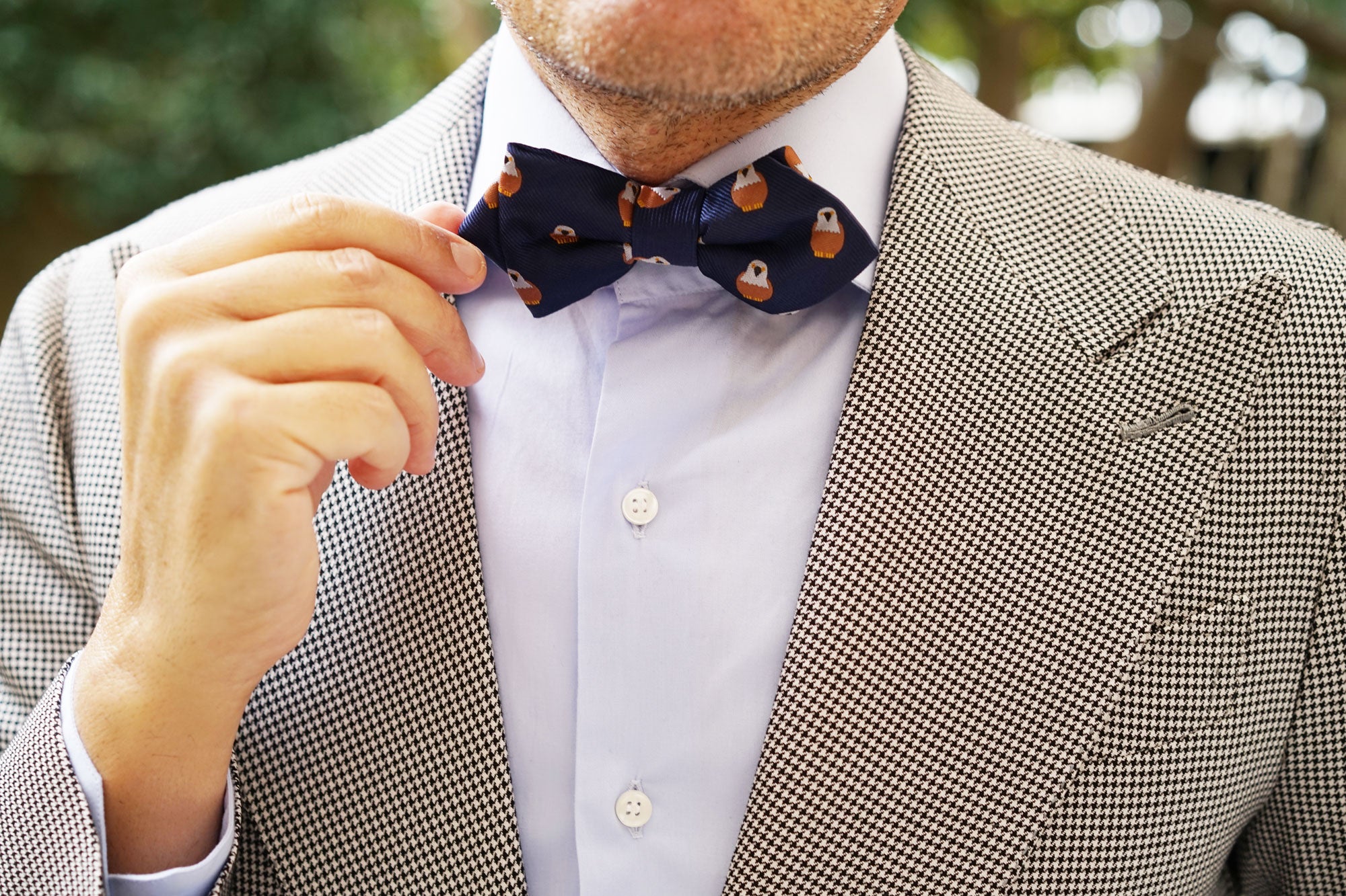 Brown Pigeon Bird Diamond Bow Tie