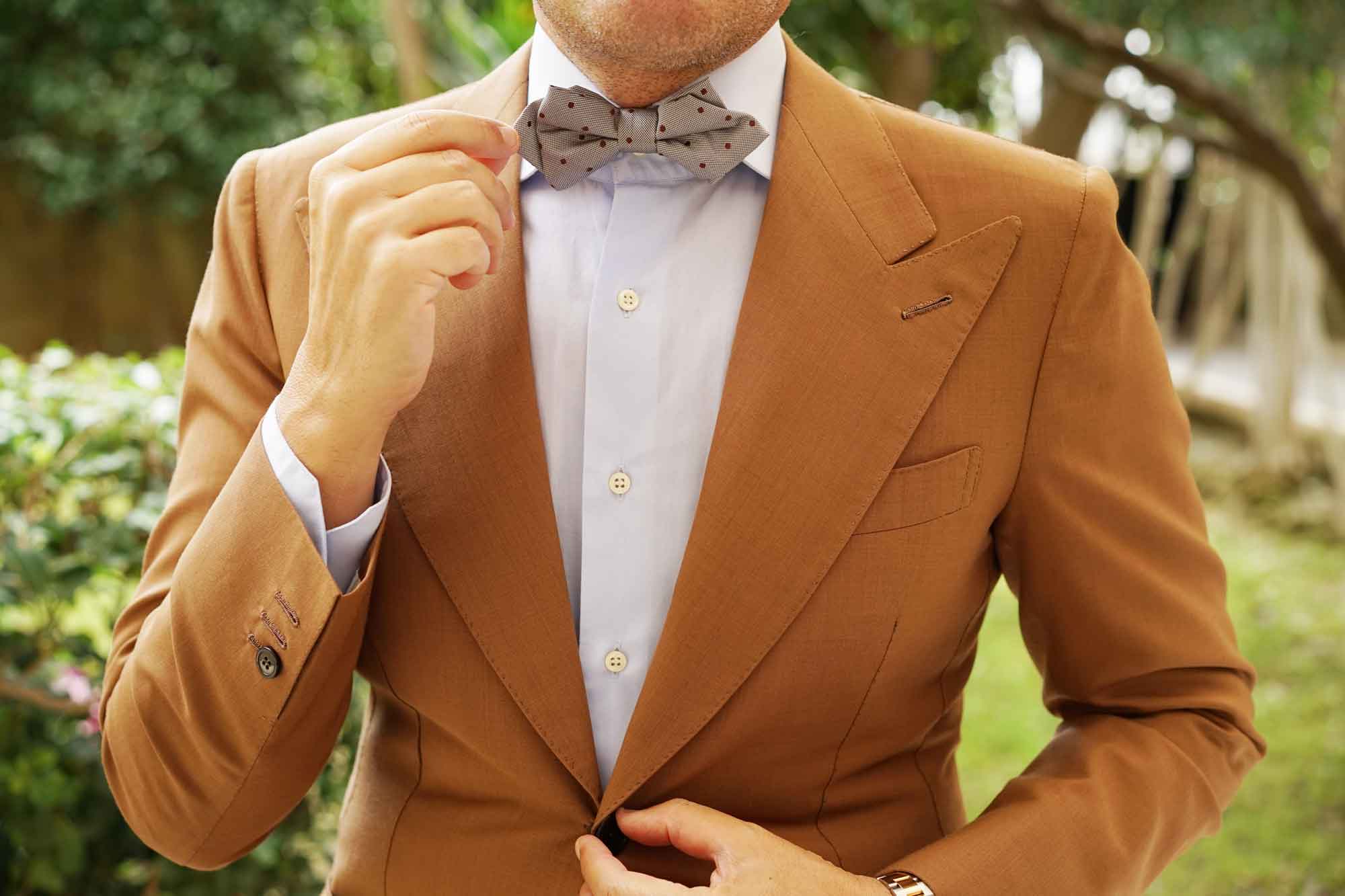 Grey with Brown Polka Dots Diamond Bow Tie